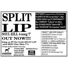 Split Lip