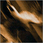 Agalloch - Ashes Against the Grain