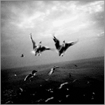 Closer - Tokpela