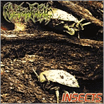 Nyctophobic - Insects