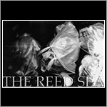 The Reed Sea - No Help